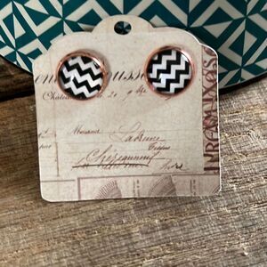 Cute NWT Chevron Pattern Earrings